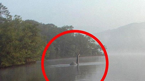 وحش بحيرة لوخ نيس الاسطوري يظهر مجددا وتلتقطه الكاميرا! صورة رقم 1