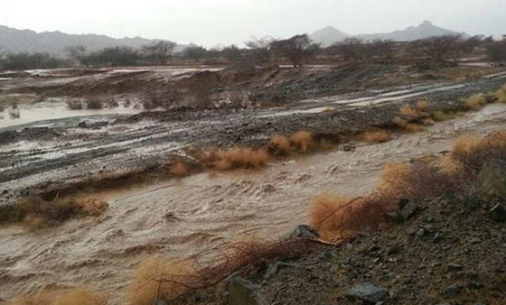 في عز الصيف.. ثلوج تكسو جبال عسير بالسعودية  صورة رقم 2