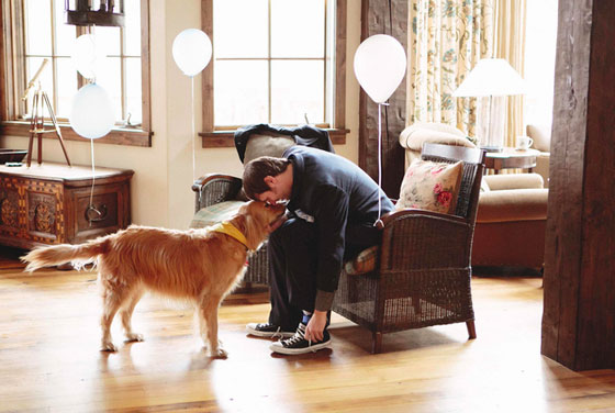 بالصور.. اشخاص رفضوا الاحتفال بزفافهم دون حضور كلابهم صورة رقم 2