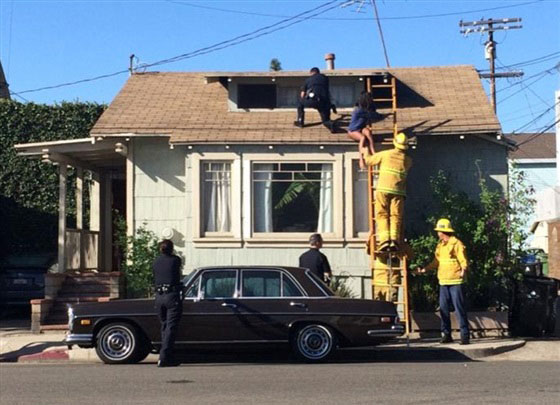 صور.. متشرد يقتحم منزل ممثلة امريكية وتصاب بحالة ذعر صورة رقم 3