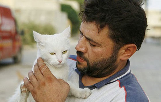 بالصور.. سوري يتخذ من 150 قطة ضالة عائلة جديدة بعد نزوح اهله صورة رقم 4