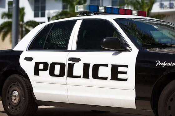 امرأة تغضب من الشرطة لاعتقالها وتلتهم المقعد الخلفي للسيارة صورة رقم 1