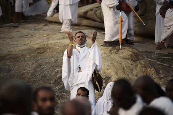 اضحى مبارك.. كل عام وانتم بألف خير صورة رقم 6