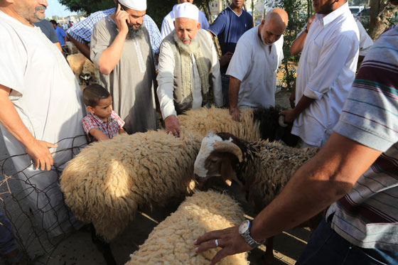 اضحى مبارك.. كل عام وانتم بألف خير صورة رقم 10