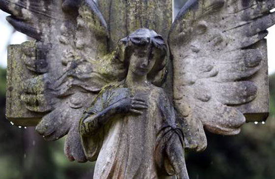 في عيد الملائكة.. البابا يتحدث عن الملاك الحارس الحامي للبشر صورة رقم 6