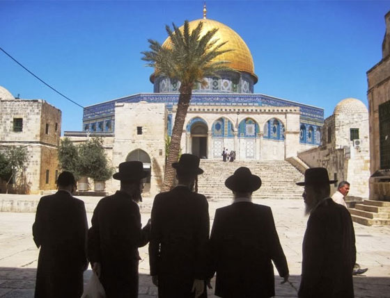 محاولة شرسة لمنع المسلمين من دخول الاقصى في عيد العرش التلمودي صورة رقم 2