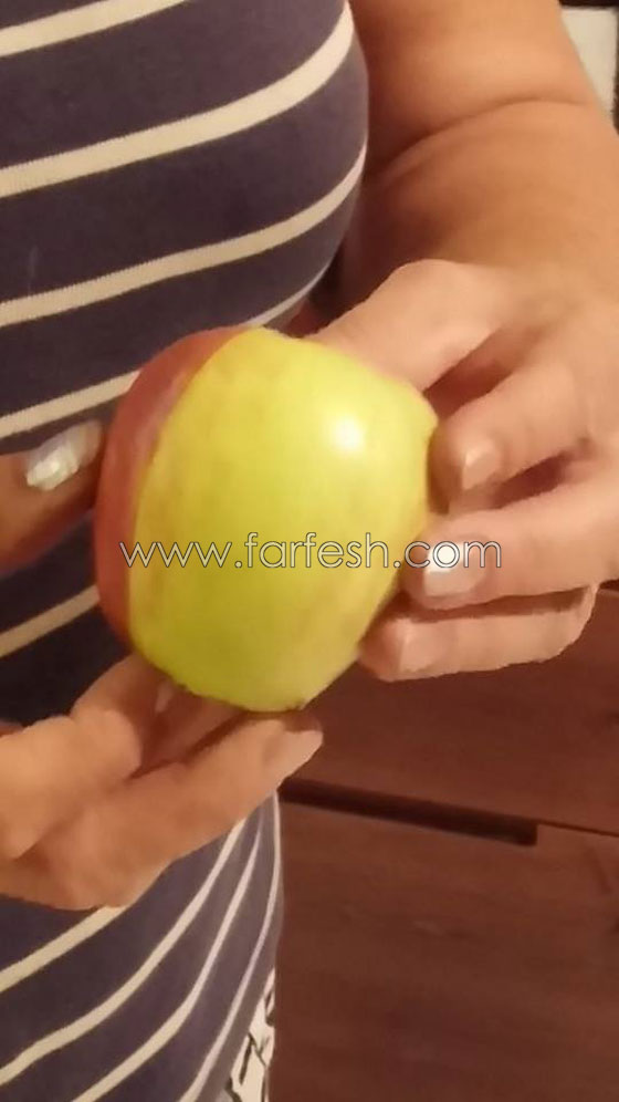 سيدة من الناصرة تعثر على تفاحة نادرة نصفها احمر ونصفها اخضر صورة رقم 4