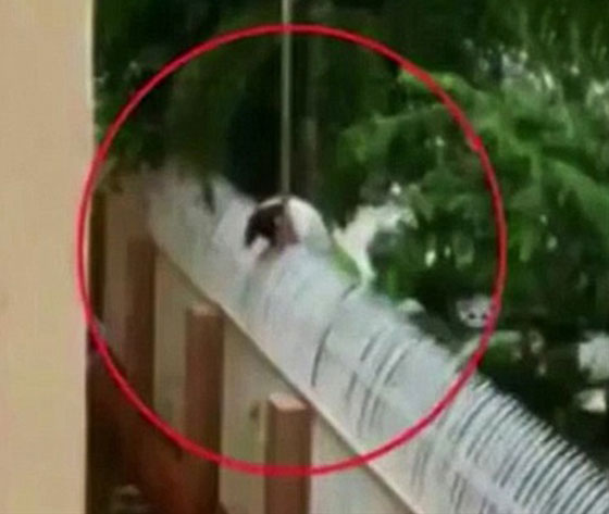 صور.. طالبة جامعية تسللت ليلا للقاء عشيقها فقتلت بسياج مكهرب صورة رقم 1