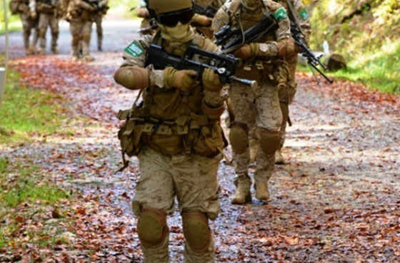 بالصور.. الكوماندوز السعودي شمرخ 1 على جبال الالب صورة رقم 1