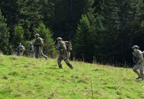 بالصور.. الكوماندوز السعودي شمرخ 1 على جبال الالب صورة رقم 2