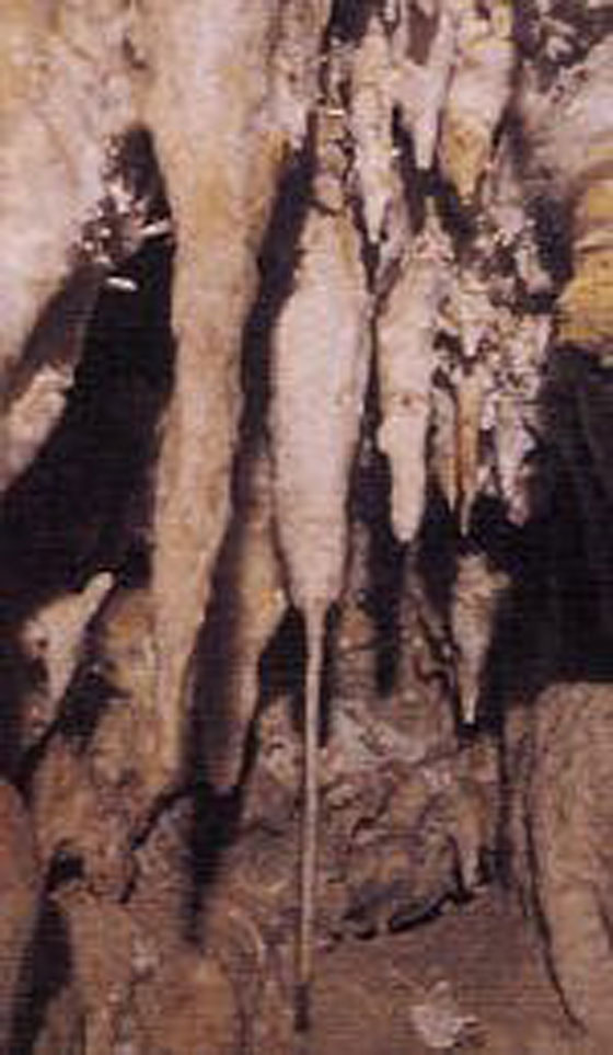 صور رائعة لأشهر كهوف ومغارات السعودية ثروة سياحية لا تُقدر بثمن صورة رقم 10