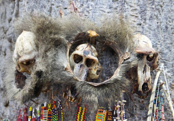 تنزانيون يضرمون النار بسبعة سحرة لانهم يجلبون النحس الى قريتهم!! صورة رقم 1