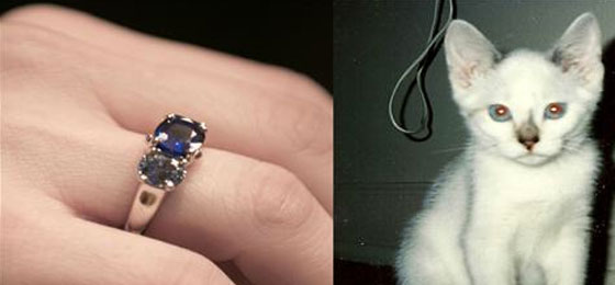 في سويسرا.. بامكانك تحويل رماد عزيزك الراحل الى ماسة تعلقها في عنقك صورة رقم 5 في سويسرا.. بامكانك تحويل رماد عزيزك الراحل الى ماسة تعلقها في عنقك صورة رقم 5