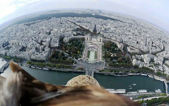 صور الاسبوع: امرأة غاضبة تفكك آلة الصرف الآلي، متظاهر فلسطيني سقوط شاحنة وفرسان المغرب صورة رقم 8