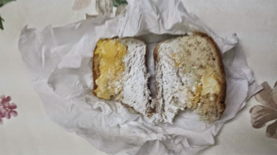 خادمة تدس السم في ساندويش طفلة ومعلمة الحضانة تنقذ حياتها صورة رقم 1 خادمة تدس السم في ساندويش طفلة ومعلمة الحضانة تنقذ حياتها صورة رقم 1