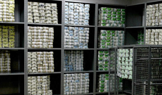 العملات النقدية بين الورقية والبوليمر ايها اسهل للتزوير؟! صورة رقم 6