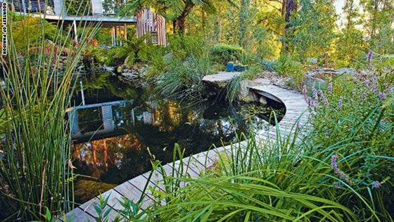 حدائق مبهرة تتحول الى قطع فنية.. شاهدها بالصور صورة رقم 2