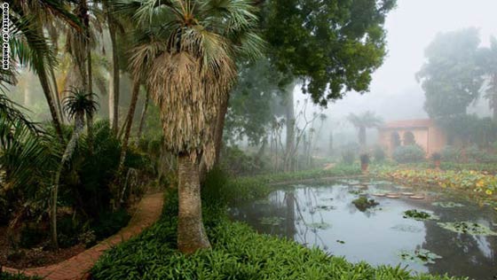 حدائق مبهرة تتحول الى قطع فنية.. شاهدها بالصور صورة رقم 3