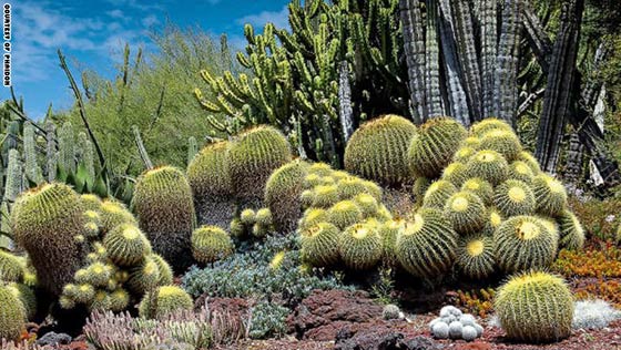 حدائق مبهرة تتحول الى قطع فنية.. شاهدها بالصور صورة رقم 4