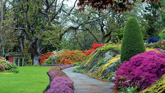 حدائق مبهرة تتحول الى قطع فنية.. شاهدها بالصور صورة رقم 7