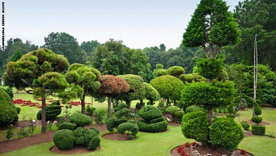 حدائق مبهرة تتحول الى قطع فنية.. شاهدها بالصور صورة رقم 8