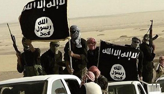 صدق او لا تصدق.. يهودية تحارب في صفوف داعش صورة رقم 4