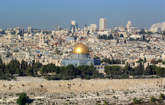 بعد ان رفرف في 134 دولة.. العلم الفلسطيني يرفرف في السويد صورة رقم 2