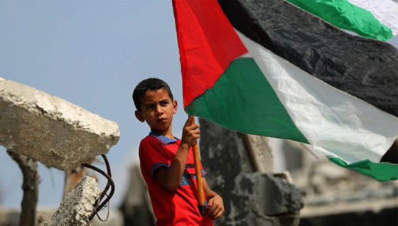 بعد ان رفرف في 134 دولة.. العلم الفلسطيني يرفرف في السويد صورة رقم 3