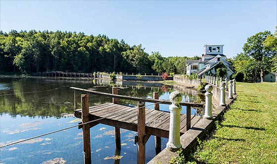 شبح غامض يتجول في بلدة الاشباح الامريكية.. يدعى شميث صورة رقم 3