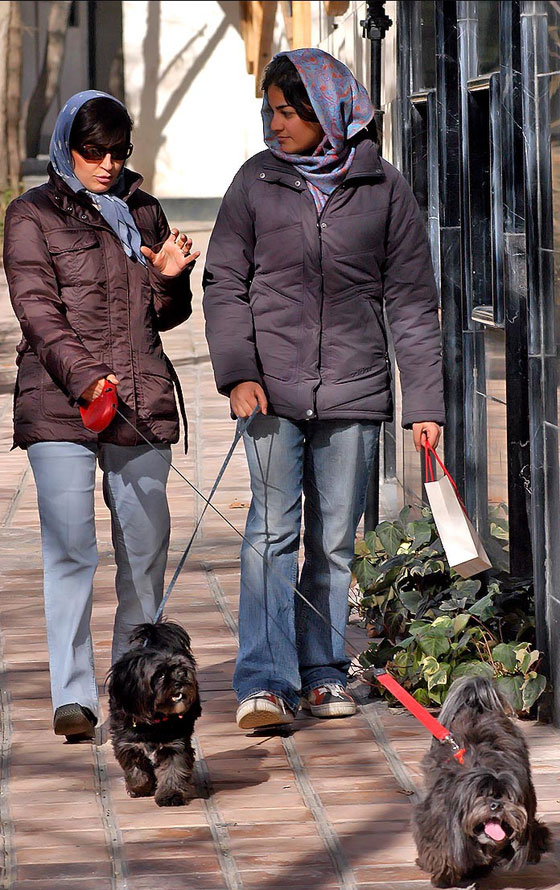 تشريع ايراني جديد.. الجلد والتغريم لكل من يقتني كلباً او قردًا!! صورة رقم 1