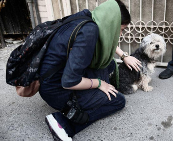 تشريع ايراني جديد.. الجلد والتغريم لكل من يقتني كلباً او قردًا!! صورة رقم 3