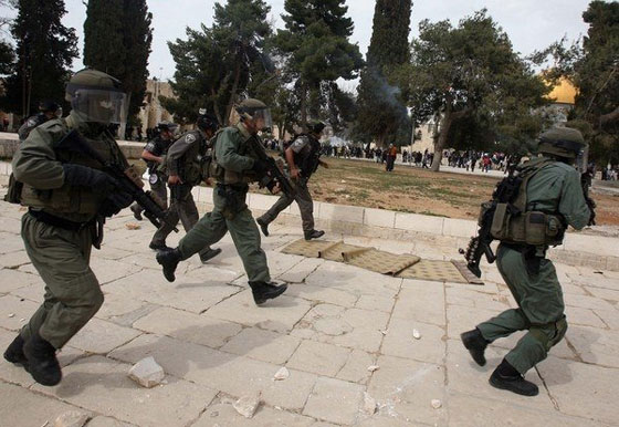  بعد تكرار حوادث الدهس.. من هو داعس الفلسطيني؟! صورة رقم 4