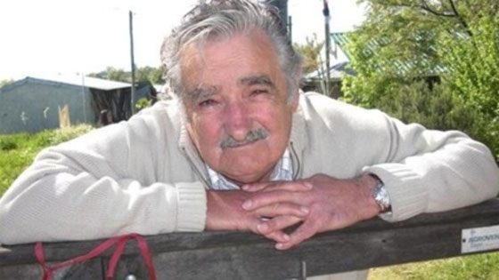  شيخ عربي يعرض على افقر رئيس بالعالم مليون دولار مقابل خنفس صورة رقم 6