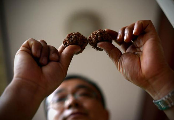 سعر الجوز يتفوق على الذهب في الصين ويمدهم بالطاقة صورة رقم 1