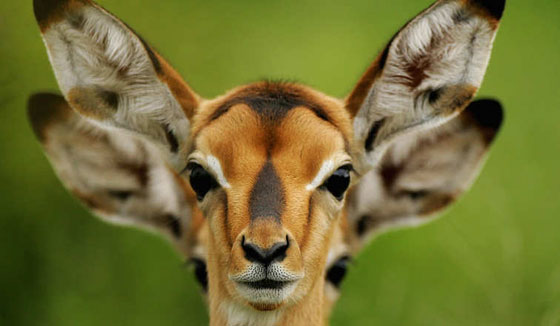 استنشق عطر أجمل مدن العالم في مطار هيثرو البريطاني صورة رقم 2