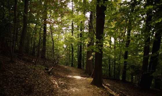 استنشق عطر أجمل مدن العالم في مطار هيثرو البريطاني صورة رقم 4