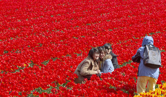 استنشق عطر أجمل مدن العالم في مطار هيثرو البريطاني صورة رقم 11