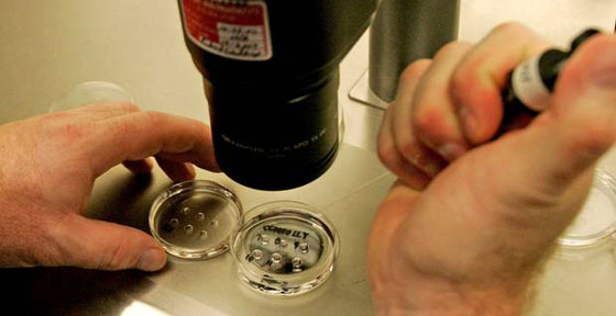  اطفال اصطناعيون في عام 2050 والعلاقات الحميمة للمتعة فقط! صورة رقم 2