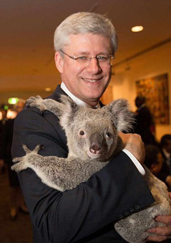 الكوالا يجمع زعماء العشرين بعد ان فرقتهم السياسة!! صورة رقم 12