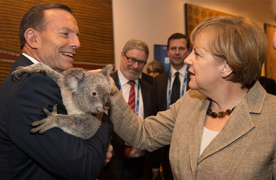 الكوالا يجمع زعماء العشرين بعد ان فرقتهم السياسة!! صورة رقم 5