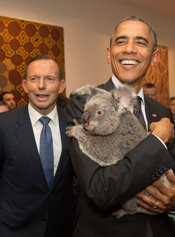 الكوالا يجمع زعماء العشرين بعد ان فرقتهم السياسة!! صورة رقم 1