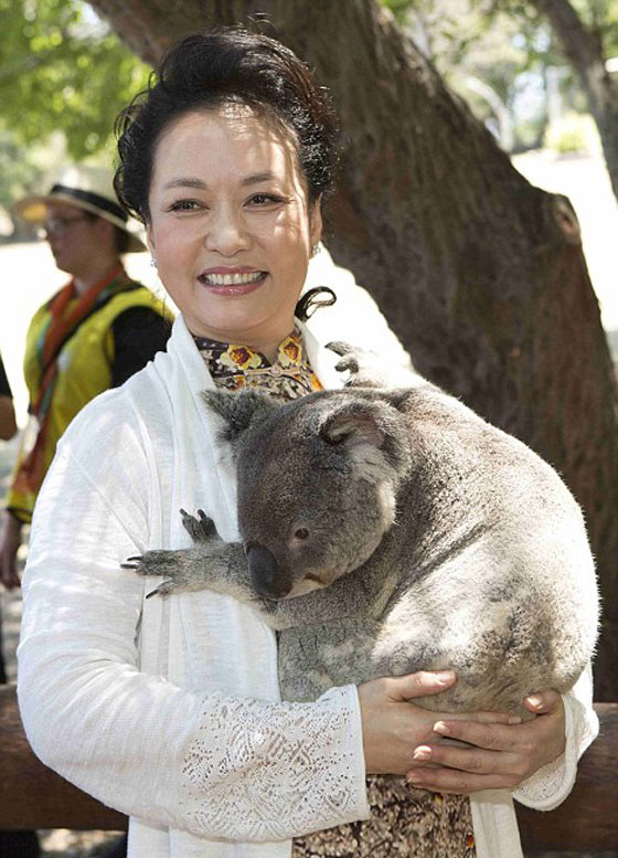 الكوالا يجمع زعماء العشرين بعد ان فرقتهم السياسة!! صورة رقم 11