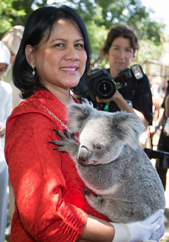 الكوالا يجمع زعماء العشرين بعد ان فرقتهم السياسة!! صورة رقم 17