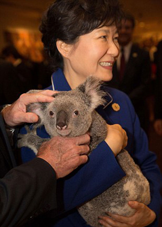 الكوالا يجمع زعماء العشرين بعد ان فرقتهم السياسة!! صورة رقم 9