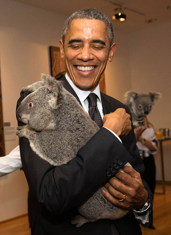 الكوالا يجمع زعماء العشرين بعد ان فرقتهم السياسة!! صورة رقم 8