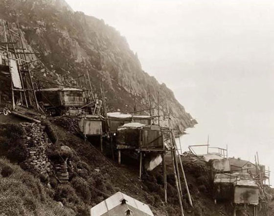 صور عمليات اختفاء جماعية خارقة للطبيعة حيّرت العلماء حول العالم صورة رقم 8