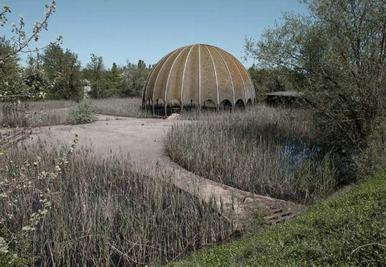 الملاهي الليلية المهجورة في ايطالية تستضيف البعوض والضفادع وغيرها صورة رقم 6