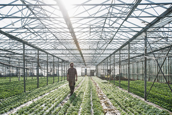 بالصور.. الحياة اليومية ترسم أشكالا هندسية هائلة من الجو صورة رقم 21