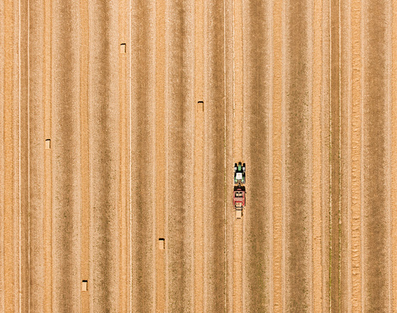 بالصور.. الحياة اليومية ترسم أشكالا هندسية هائلة من الجو صورة رقم 27