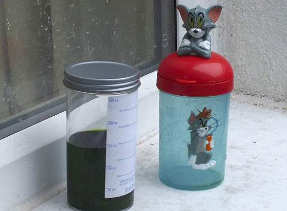 والدان يقتلان طفلتهما بمخدر خبآه في كاس العصير الخاص بها صورة رقم 4